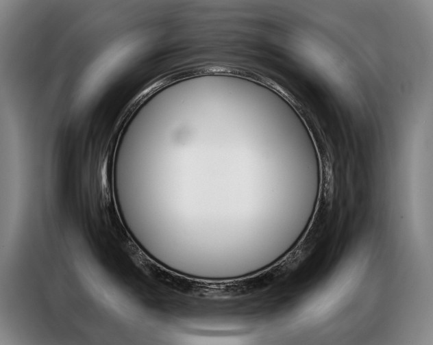 X0000087361198200704200819