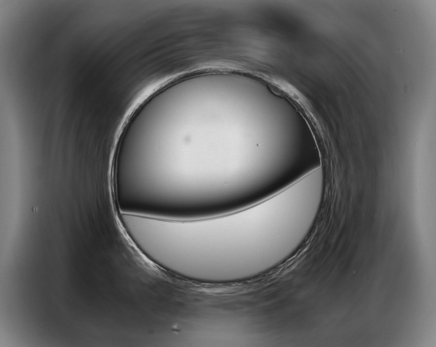 X0000087361199200704200819