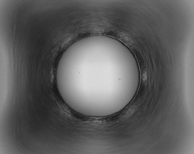 X0000087361204200704200818