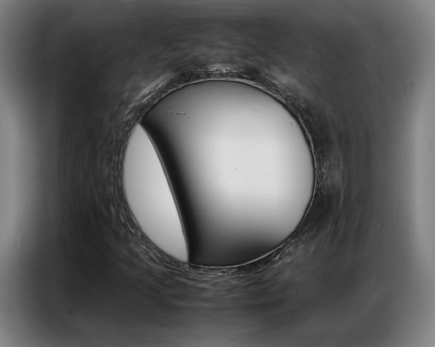 X0000087361205200704200818