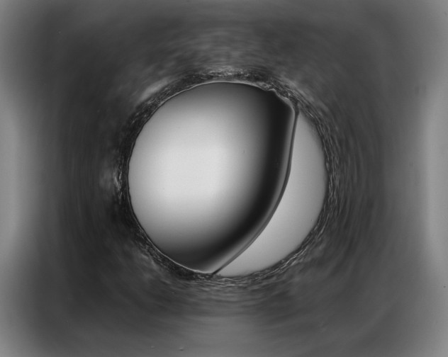 X0000087361206200704200818