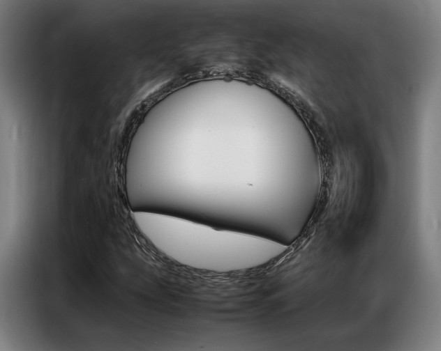 X0000087361207200704200818