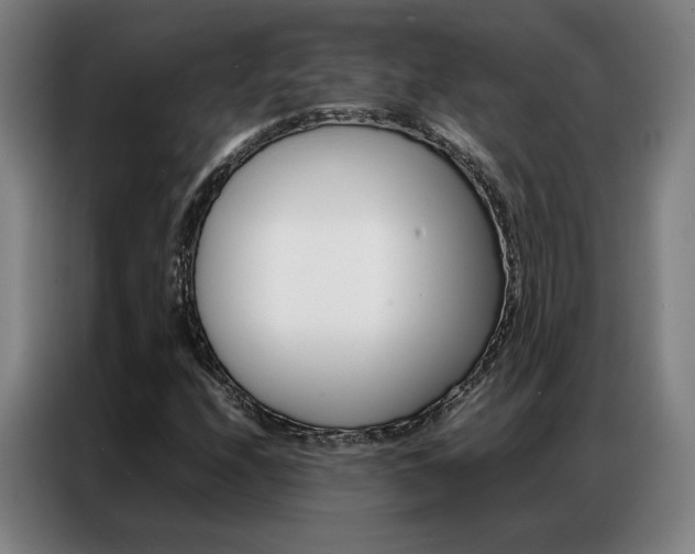 X0000087361208200704200818