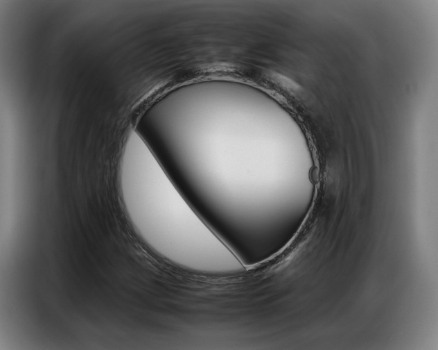 X0000087361209200704200818