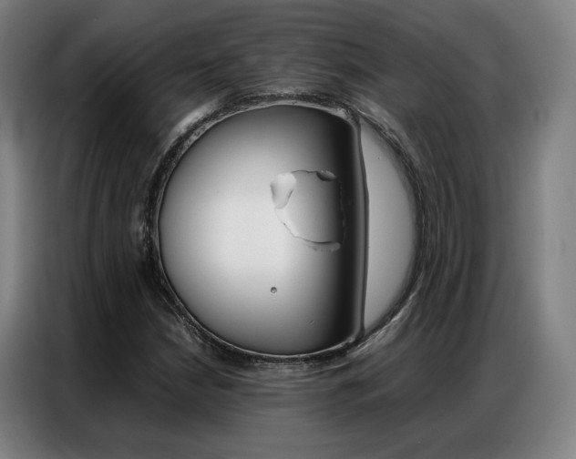 X0000087361210200704200818