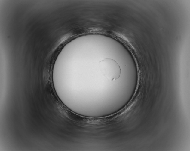 X0000087361211200704200818