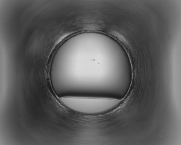 X0000087361212200704200818