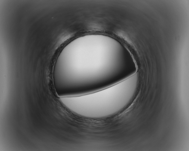 X0000087361213200704200818