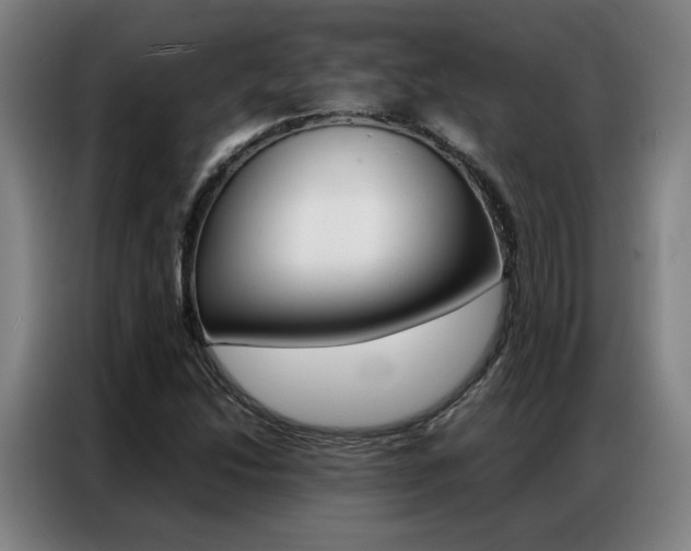 X0000087361214200704200818