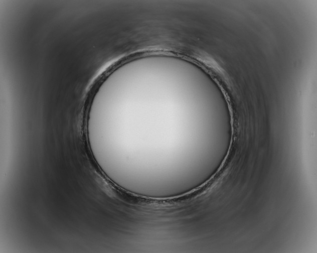 X0000087361216200704200818