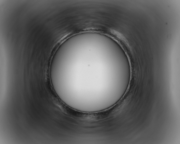X0000087361217200704200818