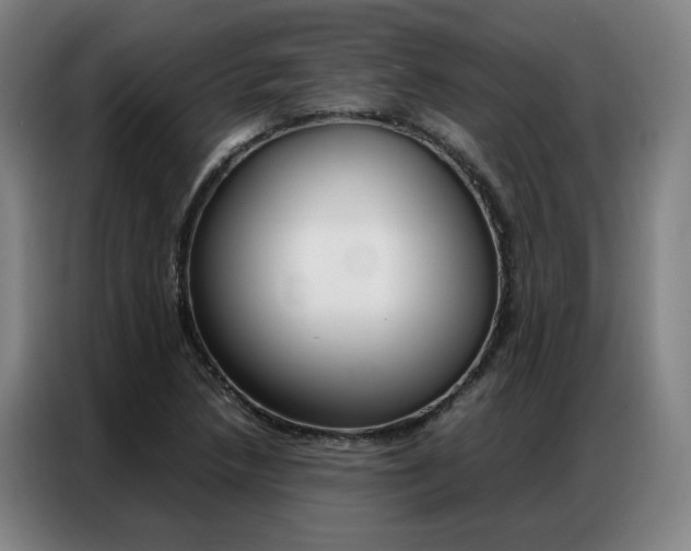 X0000087361218200704200818