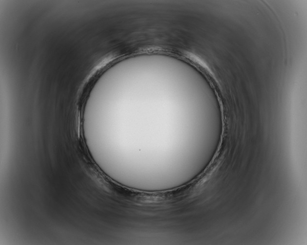 X0000087361219200704200819