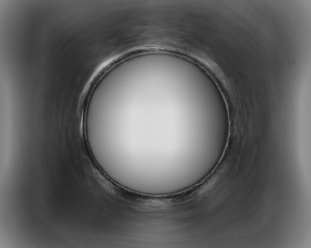 X0000087361224200704200819