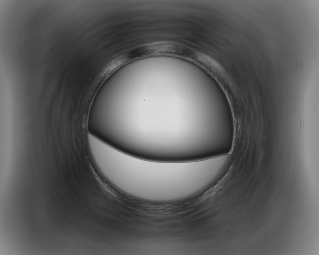 X0000087361225200704200819