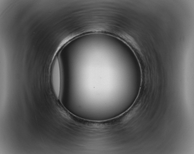 X0000087361226200704200819