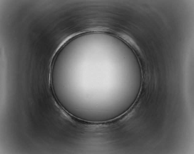 X0000087361228200704200819