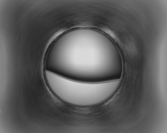 X0000087361229200704200819
