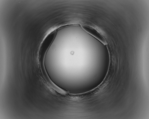 X0000087361230200704200819