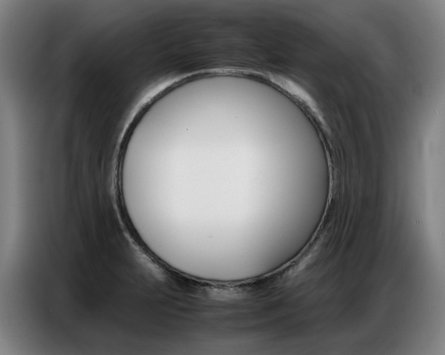 X0000087361231200704200819