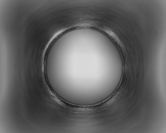 X0000087361232200704200819