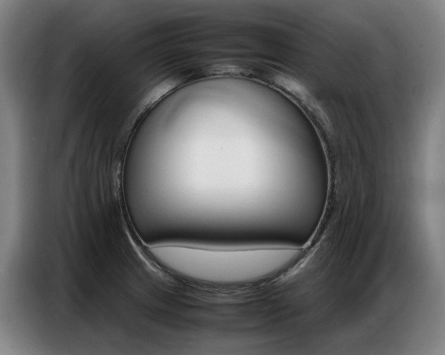 X0000087361233200704200819
