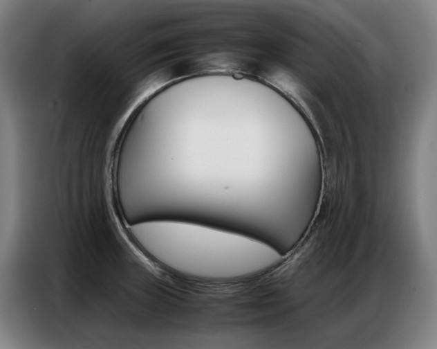 X0000087361235200704200819