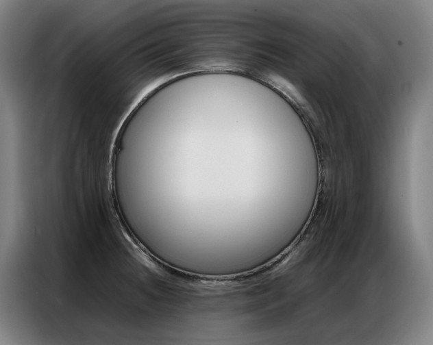 X0000087361236200704200819
