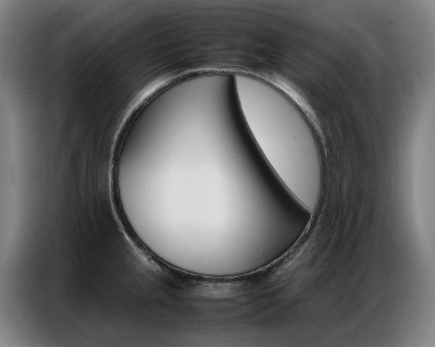 X0000087361237200704200819