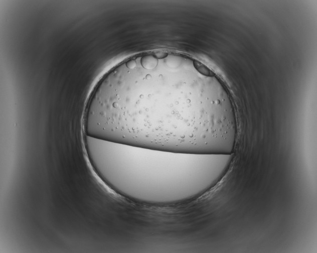 X0000087361239200704200819