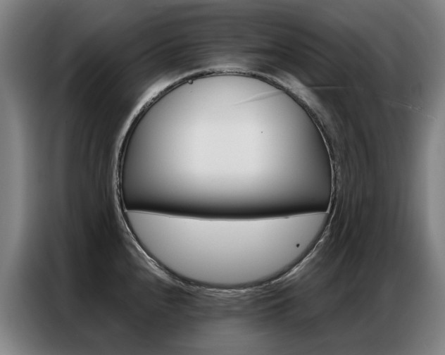 X0000087361240200704200819