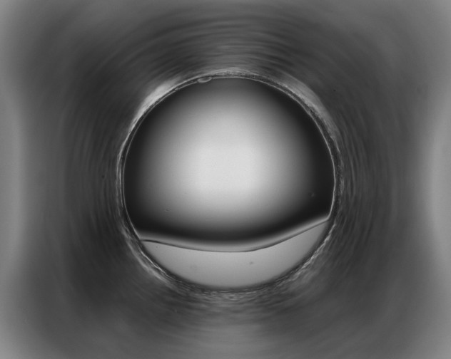 X0000087361242200704200819