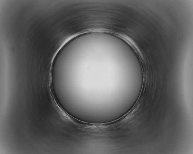 X0000087361244200704200819