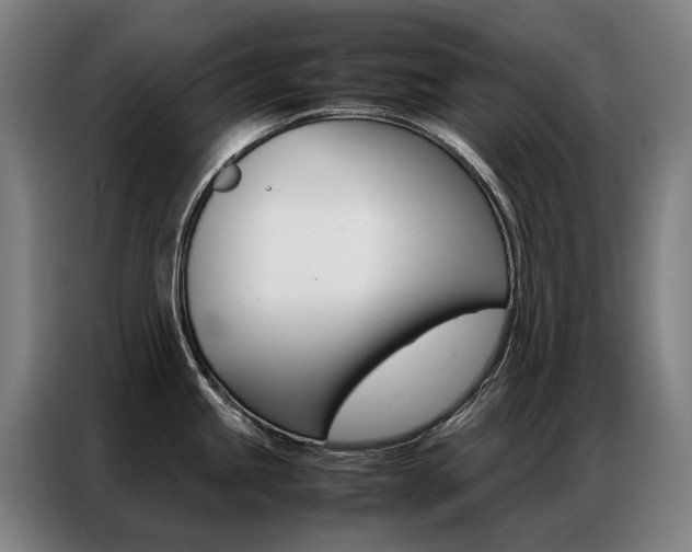 X0000087361245200704200819