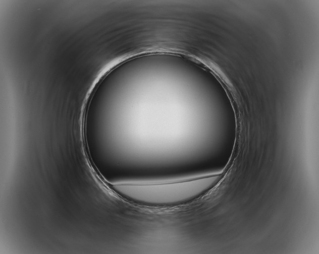 X0000087361246200704200819