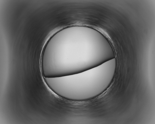 X0000087361247200704200819