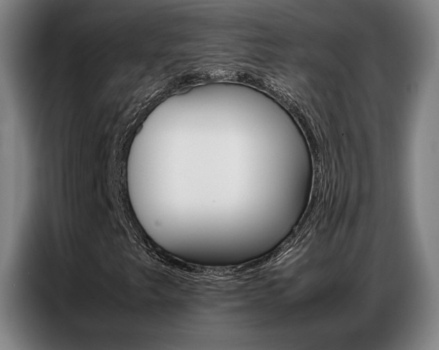 X0000087361249200704200818