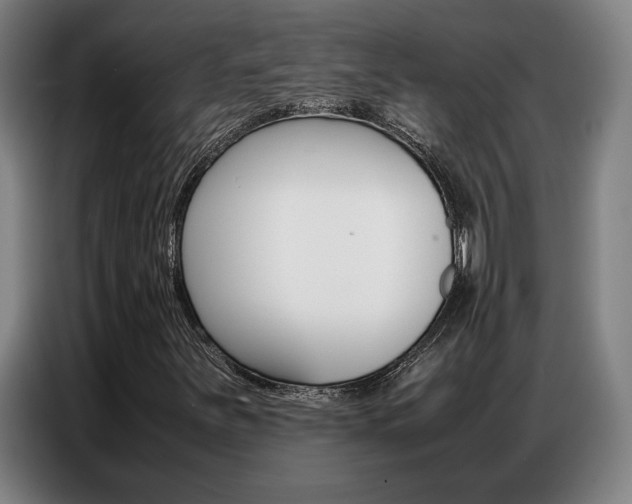 X0000087361251200704200818
