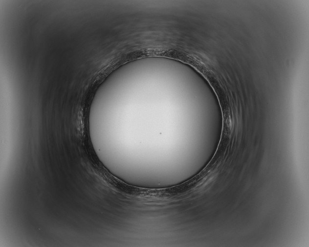 X0000087361252200704200818