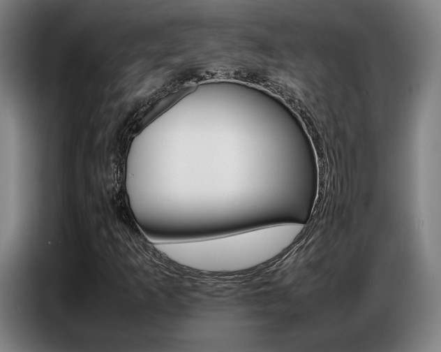 X0000087361253200704200818