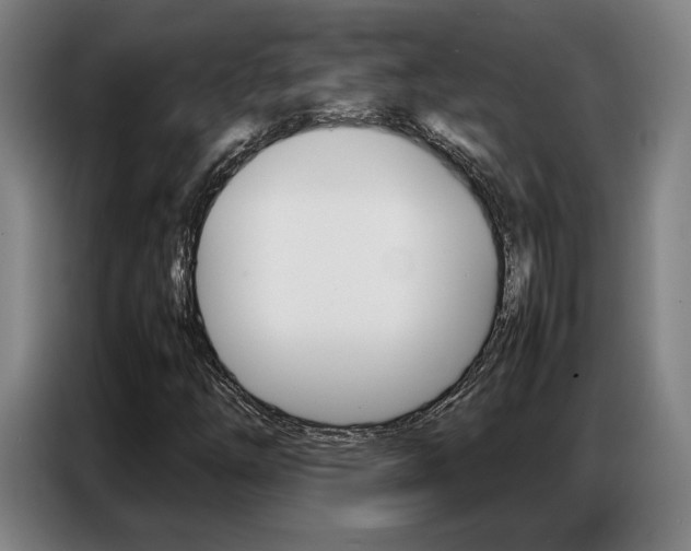 X0000087361254200704200818