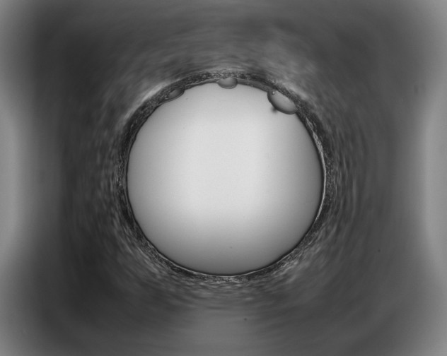 X0000087361255200704200818