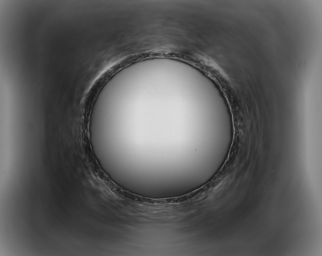 X0000087361256200704200818