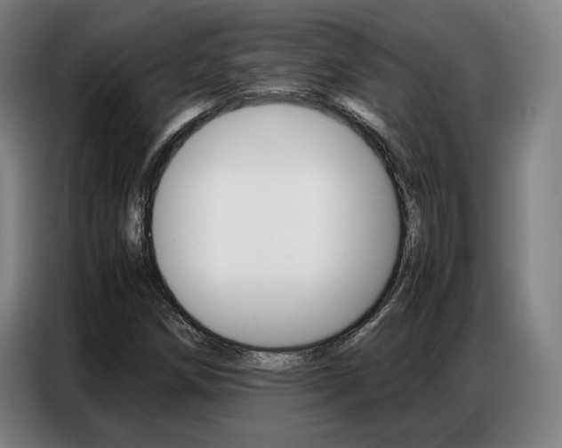 X0000087361258200704200818