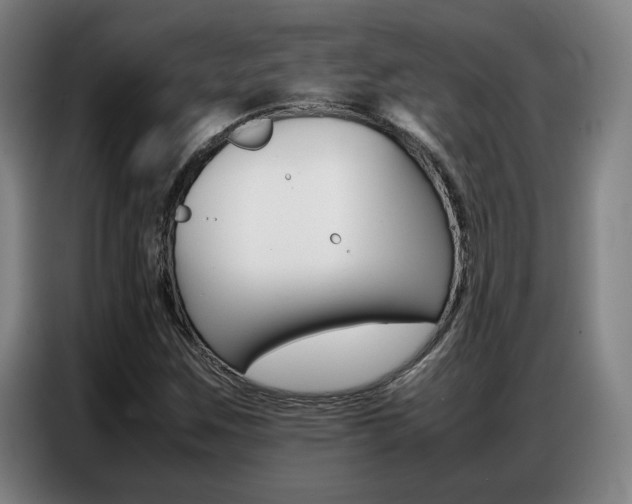 X0000087361259200704200818