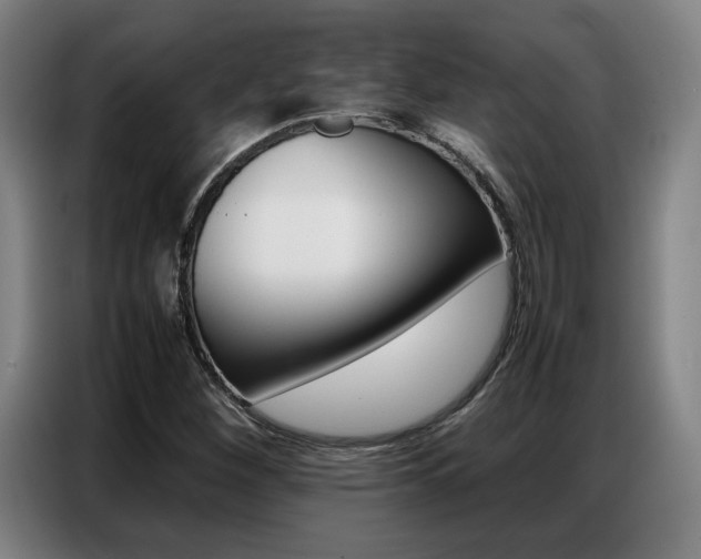 X0000087361260200704200818