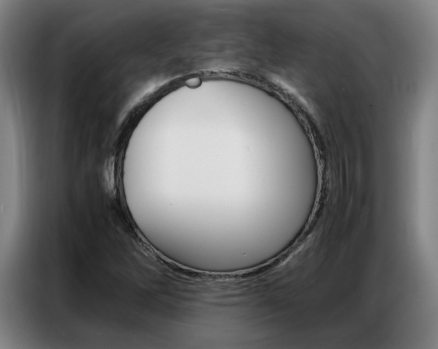 X0000087361262200704200818