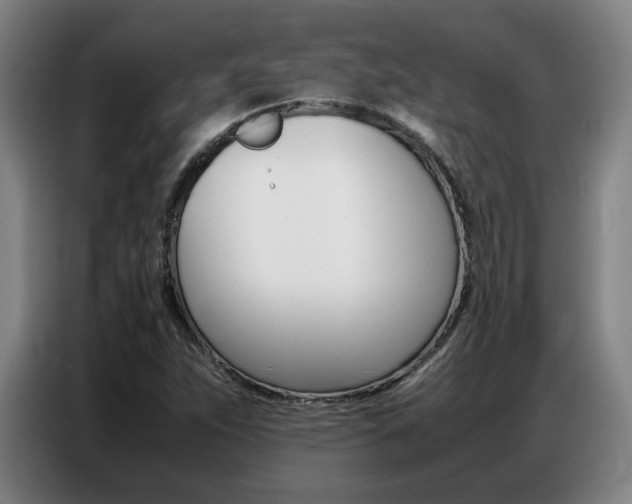 X0000087361263200704200818