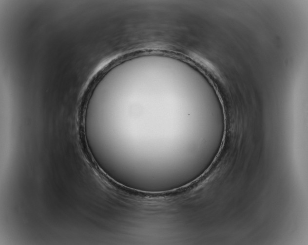 X0000087361264200704200818