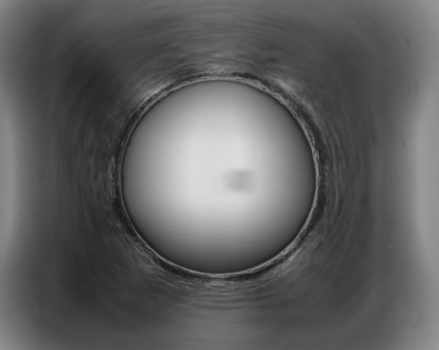 X0000087361265200704200818